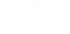 Insignia Cloth Icon